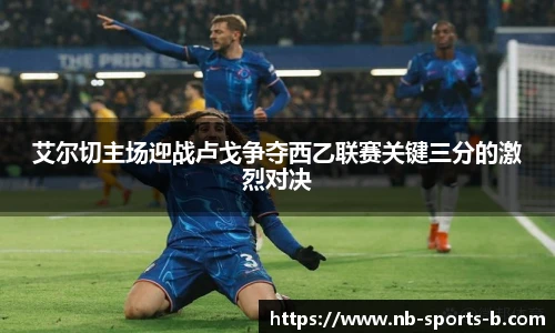 b体育